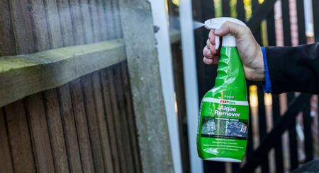 EASYCare Algae Remover